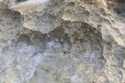 ../galleries/2022.10.20_Urlaub_Mallorca_-_Tag_6_-_Buchten_Llevant/DSC_5225.thumbnail.jpg