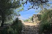../galleries/2022.10.21_Urlaub_Mallorca_-_Tag_7_-_Tossals_Verds/DSC_5271.thumbnail.jpg