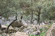 ../galleries/2022.10.21_Urlaub_Mallorca_-_Tag_7_-_Tossals_Verds/DSC_5278.thumbnail.jpg
