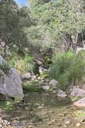 ../galleries/2022.10.21_Urlaub_Mallorca_-_Tag_7_-_Tossals_Verds/DSC_5280.thumbnail.jpg