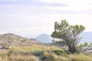 ../galleries/2022.10.21_Urlaub_Mallorca_-_Tag_7_-_Tossals_Verds/DSC_5297.thumbnail.jpg
