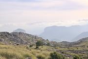 ../galleries/2022.10.21_Urlaub_Mallorca_-_Tag_7_-_Tossals_Verds/DSC_5303.thumbnail.jpg