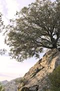 ../galleries/2022.10.21_Urlaub_Mallorca_-_Tag_7_-_Tossals_Verds/DSC_5311.thumbnail.jpg