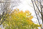 ../galleries/2022.11.01_Wanderung_Oberkochen_nach_Aalen/DSC_5378.thumbnail.jpg