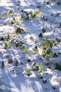 ../galleries/2022.12.17_Schneespaziergang/DSC_5558.thumbnail.jpg