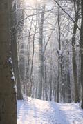 ../galleries/2022.12.17_Schneespaziergang/DSC_5571.thumbnail.jpg
