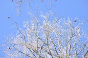 ../galleries/2022.12.17_Schneespaziergang/DSC_5573.thumbnail.jpg