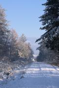 ../galleries/2022.12.17_Schneespaziergang/DSC_5576.thumbnail.jpg