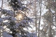 ../galleries/2022.12.17_Schneespaziergang/DSC_5577.thumbnail.jpg