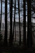 ../galleries/2022.12.24_Weihnachten_Niedernhausen/DSC_5615.thumbnail.jpg