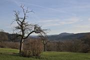../galleries/2023.01.01_Neujahr_Wanderung_Lorch_mit_Yvonne_und_Thorsten/DSC_5796.thumbnail.jpg
