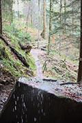 ../galleries/2023.01.01_Neujahr_Wanderung_Lorch_mit_Yvonne_und_Thorsten/DSC_5842.thumbnail.jpg
