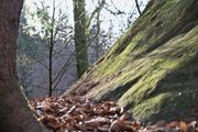 ../galleries/2023.01.01_Neujahr_Wanderung_Lorch_mit_Yvonne_und_Thorsten/DSC_5870.thumbnail.jpg