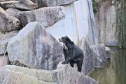 ../galleries/2023.02.25_Zoo_Wilhelma_Stuttgart/DSC_6216.thumbnail.jpg