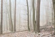 ../galleries/2023.03.12_Niedernhausen/DSC_6352.thumbnail.jpg