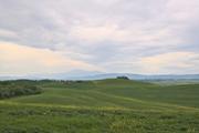 ../galleries/2023.05.01_Urlaub_Toskana_-_Tag_3_-_Olivenhain/DSC_6884.thumbnail.jpg
