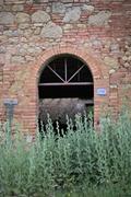 ../galleries/2023.05.01_Urlaub_Toskana_-_Tag_3_-_Olivenhain/DSC_6886.thumbnail.jpg