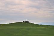 ../galleries/2023.05.01_Urlaub_Toskana_-_Tag_3_-_Olivenhain/DSC_6900.thumbnail.jpg