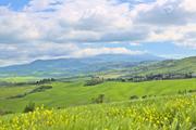 ../galleries/2023.05.03_Urlaub_Toskana_-_Tag_5_-_Podere_Alteta/DSC_7410.thumbnail.jpg