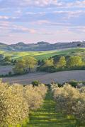 ../galleries/2023.05.03_Urlaub_Toskana_-_Tag_5_-_Podere_Alteta/DSC_7480.thumbnail.jpg
