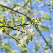 ../galleries/2023.05.18_Wanderung_Weiler_i.d.B./DSC_8336.thumbnail.jpg