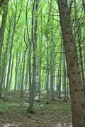 ../galleries/2023.05.18_Wanderung_Weiler_i.d.B./DSC_8349.thumbnail.jpg