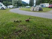../galleries/2023.07.05_Urlaub_MTB_Alpe_Adria_-_Tag_12_-_Triest_-_Weissensee/20230705_192720.thumbnail.jpg