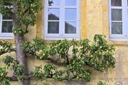 ../galleries/2023.08.12_Rothenburg_ob_der_Tauber/DSC_8730.thumbnail.jpg