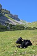 ../galleries/2023.08.19_Wandern_Allgäu_Ifen,_Gottesackerplateau/DSC_8770.thumbnail.jpg