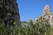 ../galleries/2023.08.19_Wandern_Allgäu_Ifen,_Gottesackerplateau/DSC_8790.thumbnail.jpg