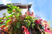 ../galleries/2023.11.01_Wanderung_Heubach,_Burg_Rosenstein/DSC_9642.thumbnail.jpg
