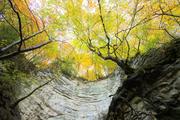 ../galleries/2023.11.01_Wanderung_Heubach,_Burg_Rosenstein/DSC_9645.thumbnail.jpg