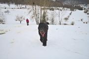 ../galleries/2023.12.02_Schlitten/DSC_9775.thumbnail.jpg