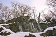 ../galleries/2023.12.02_Schlitten/DSC_9925.thumbnail.jpg