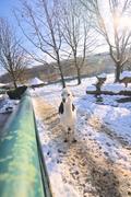 ../galleries/2023.12.03_Opel-Zoo/DSC_9987.thumbnail.jpg