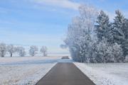 ../galleries/2024.01.14_Frost/DSC_0345.thumbnail.jpg