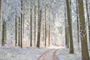 ../galleries/2024.01.14_Frost/DSC_0352.thumbnail.jpg