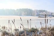 ../galleries/2024.01.14_Frost/DSC_0416.thumbnail.jpg