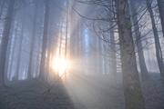 ../galleries/2024.01.27_Wochenende_Allgäu_-_Thalkirchdorf/DSC_0433.thumbnail.jpg