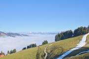 ../galleries/2024.01.27_Wochenende_Allgäu_-_Thalkirchdorf/DSC_0453.thumbnail.jpg