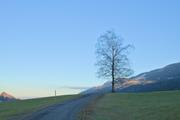 ../galleries/2024.01.27_Wochenende_Allgäu_-_Thalkirchdorf/DSC_0464.thumbnail.jpg