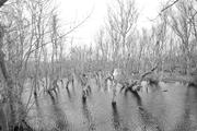 ../galleries/2024.03.11_Urlaub_Amrum_-_Tag_2_-_Wittdün_und_Nordspitze/DSC_0863.thumbnail.jpg
