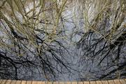 ../galleries/2024.03.11_Urlaub_Amrum_-_Tag_2_-_Wittdün_und_Nordspitze/DSC_0864.thumbnail.jpg