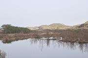 ../galleries/2024.03.12_Urlaub_Amrum_-_Tag_3_-_Leuchtturm_und_Wriakhörnsee/DSC_0886.thumbnail.jpg