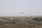 ../galleries/2024.03.12_Urlaub_Amrum_-_Tag_3_-_Leuchtturm_und_Wriakhörnsee/DSC_0903.thumbnail.jpg