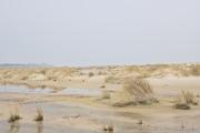 ../galleries/2024.03.12_Urlaub_Amrum_-_Tag_3_-_Leuchtturm_und_Wriakhörnsee/DSC_0914.thumbnail.jpg