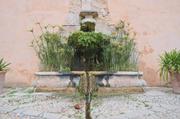 ../galleries/2024.03.24_Urlaub_Mallorca_-_Tag_1_-_Torrent_de_Pareis,_Jardines_de_Alfabia/DSC_1152.thumbnail.jpg