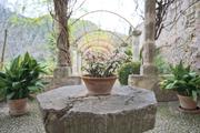 ../galleries/2024.03.24_Urlaub_Mallorca_-_Tag_1_-_Torrent_de_Pareis,_Jardines_de_Alfabia/DSC_1160.thumbnail.jpg