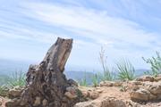 ../galleries/2024.03.28_Urlaub_Mallorca_-_Tag_5_-_Castell_d'Alaro/DSC_1540.thumbnail.jpg
