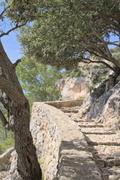 ../galleries/2024.03.28_Urlaub_Mallorca_-_Tag_5_-_Castell_d'Alaro/DSC_1590.thumbnail.jpg